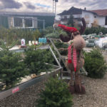 Angererhof Christbaeume 06