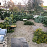 Angererhof Christbaeume 34