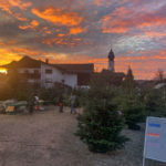 Angererhof Christbaeume 39