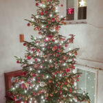 Angererhof Christbaeume 40
